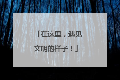 在这里，遇见文明的样子！