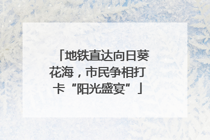 地铁直达向日葵花海，市民争相打卡“阳光盛宴”