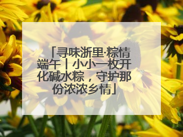寻味浙里·粽情端午丨小小一枚开化碱水粽，守护那份浓浓乡情