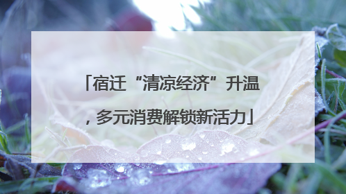 宿迁“清凉经济”升温，多元消费解锁新活力
