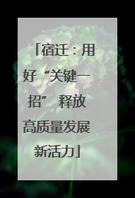 宿迁：用好“关键一招” 释放高质量发展新活力