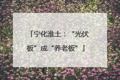 宁化淮土：“光伏板”成“养老板”