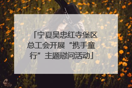 宁夏吴忠红寺堡区总工会开展“携手童行”主题慰问活动