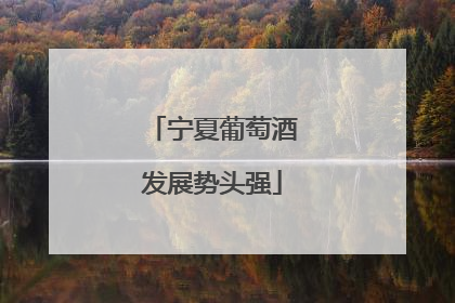 宁夏葡萄酒发展势头强