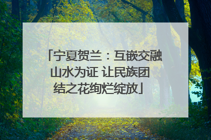 宁夏贺兰：互嵌交融 山水为证 让民族团结之花绚烂绽放