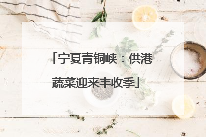 宁夏青铜峡：供港蔬菜迎来丰收季