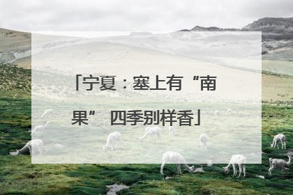 宁夏：塞上有“南果” 四季别样香