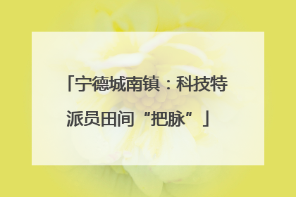 宁德城南镇：科技特派员田间“把脉”