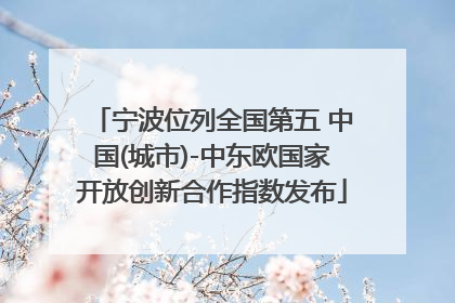 宁波位列全国第五 中国(城市)-中东欧国家开放创新合作指数发布