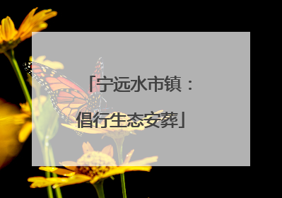 宁远水市镇：倡行生态安葬