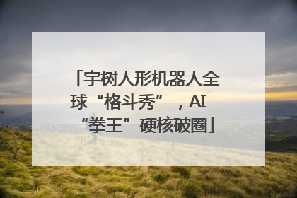 宇树人形机器人全球“格斗秀”，AI“拳王”硬核破圈