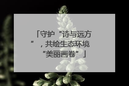 守护“诗与远方”，共绘生态环境“美丽画卷”