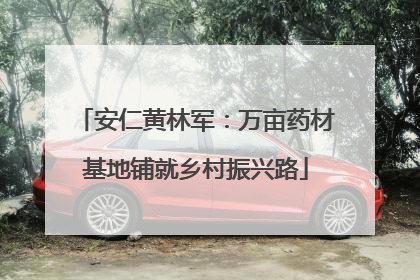 安仁黄林军：万亩药材基地铺就乡村振兴路