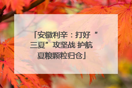 安徽利辛：打好“三夏”攻坚战 护航夏粮颗粒归仓