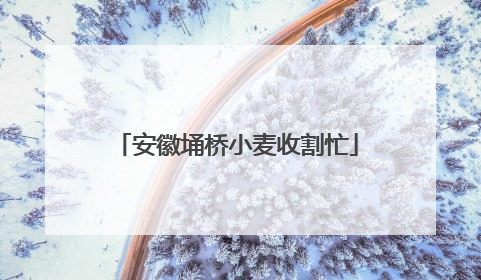 安徽埇桥小麦收割忙