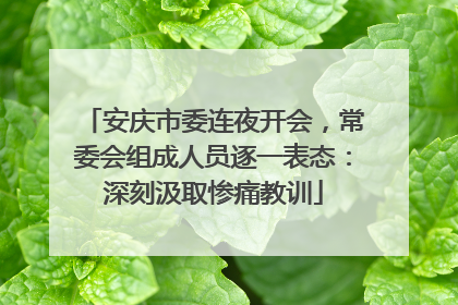 安庆市委连夜开会，常委会组成人员逐一表态：深刻汲取惨痛教训