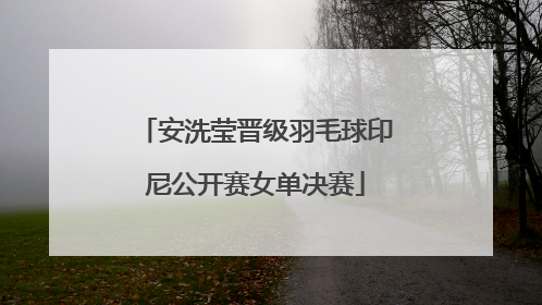 安洗莹晋级羽毛球印尼公开赛女单决赛