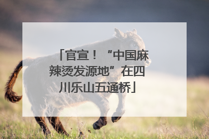 官宣！“中国麻辣烫发源地”在四川乐山五通桥