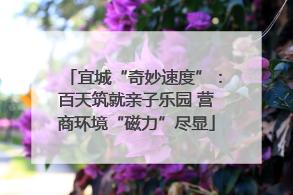 宜城“奇妙速度”：百天筑就亲子乐园 营商环境“磁力”尽显