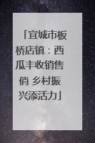 宜城市板桥店镇：西瓜丰收销售俏 乡村振兴添活力
