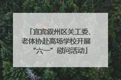 宜宾叙州区关工委、老体协赴高场学校开展“六一”慰问活动
