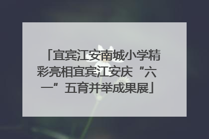 宜宾江安南城小学精彩亮相宜宾江安庆“六一”五育并举成果展