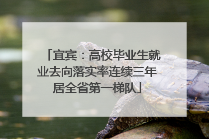 宜宾：高校毕业生就业去向落实率连续三年居全省第一梯队