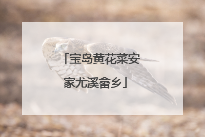 宝岛黄花菜安家尤溪畲乡
