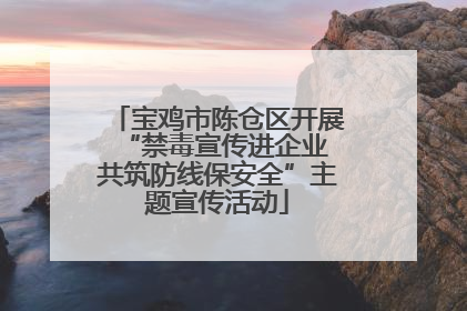 宝鸡市陈仓区开展“禁毒宣传进企业 共筑防线保安全”主题宣传活动