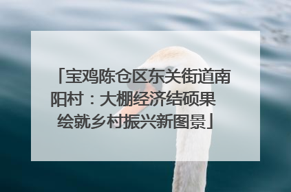 宝鸡陈仓区东关街道南阳村：大棚经济结硕果 绘就乡村振兴新图景