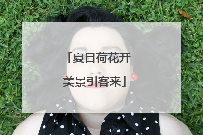 夏日荷花开 美景引客来