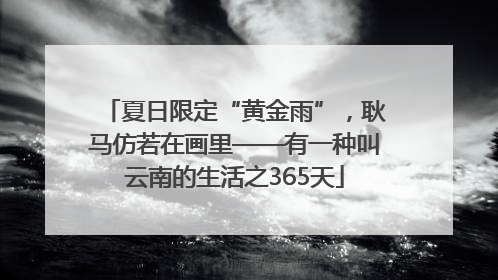 夏日限定“黄金雨”，耿马仿若在画里——有一种叫云南的生活之365天