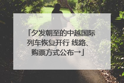 夕发朝至的中越国际列车恢复开行 线路、购票方式公布→