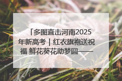 多图直击河南2025年新高考｜红衣旗袍送祝福 鲜花葵花助梦圆——尉氏县高考暖心送考