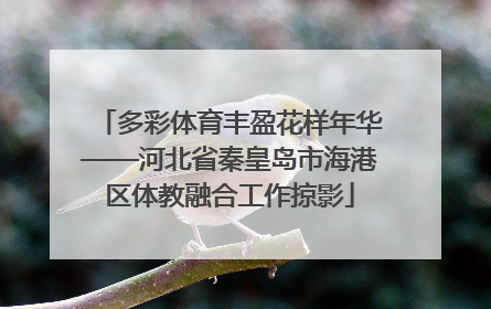 多彩体育丰盈花样年华——河北省秦皇岛市海港区体教融合工作掠影