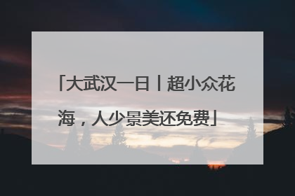 大武汉一日丨超小众花海，人少景美还免费