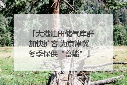 大港油田储气库群加快扩容 为京津冀冬季保供“蓄能”