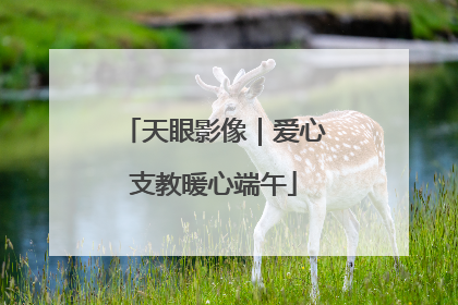 天眼影像｜爱心支教暖心端午