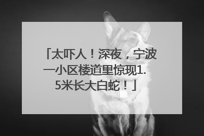 太吓人！深夜，宁波一小区楼道里惊现1.5米长大白蛇！