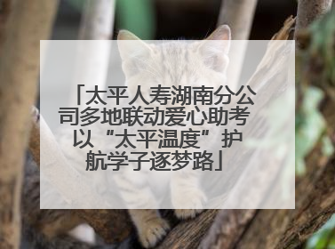 太平人寿湖南分公司多地联动爱心助考 以“太平温度”护航学子逐梦路