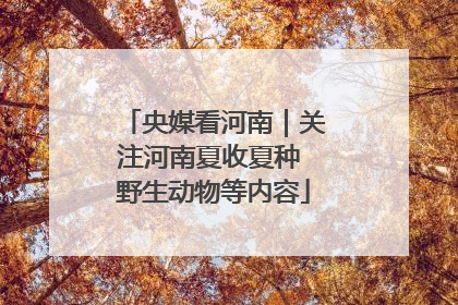 央媒看河南｜关注河南夏收夏种 野生动物等内容