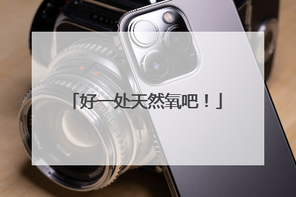 好一处天然氧吧！