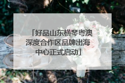 好品山东横琴粤澳深度合作区品牌出海中心正式启动