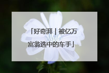 好奇湃｜被亿万富翁选中的车手