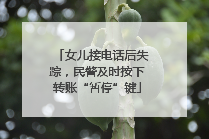 女儿接电话后失踪，民警及时按下转账“暂停”键