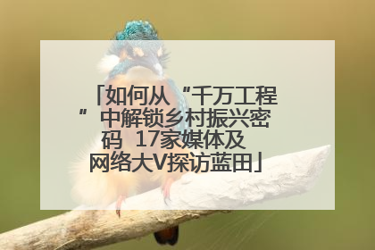 如何从“千万工程”中解锁乡村振兴密码  17家媒体及网络大V探访蓝田