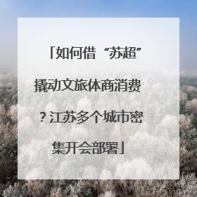 如何借“苏超”撬动文旅体商消费？江苏多个城市密集开会部署
