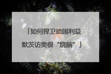 如何捍卫德国利益 默茨访美很“烧脑”