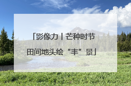 影像力丨芒种时节 田间地头绘“丰”景