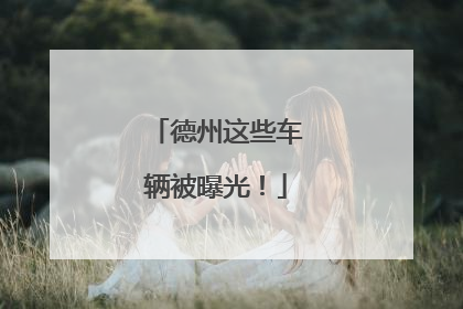 德州这些车辆被曝光！